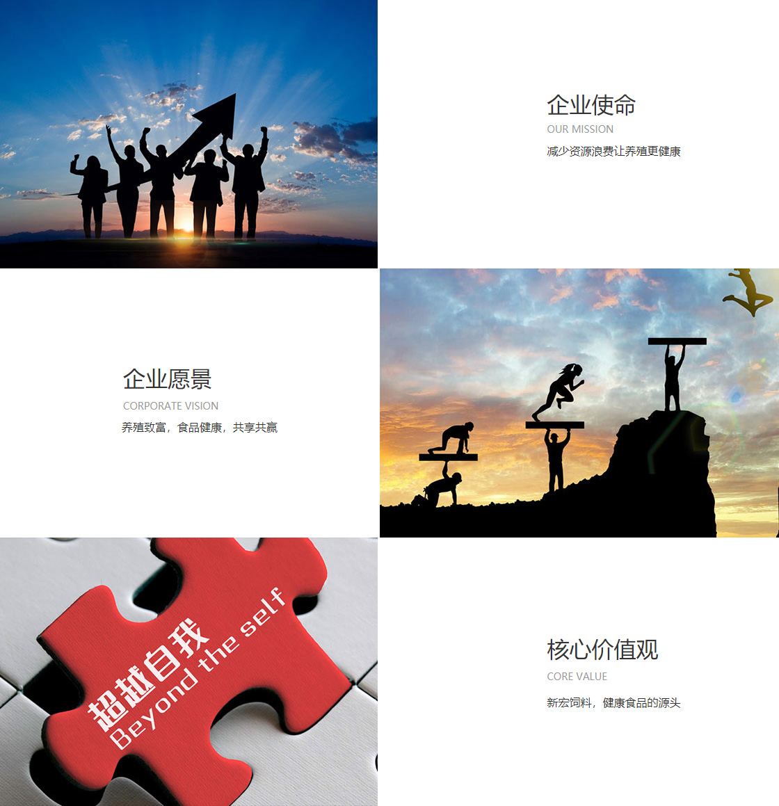 彩神8官网(图1)